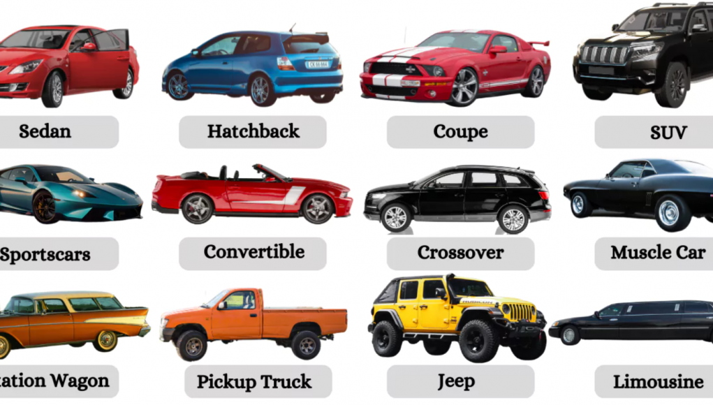 Car Types