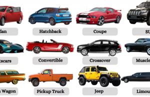 Car Types